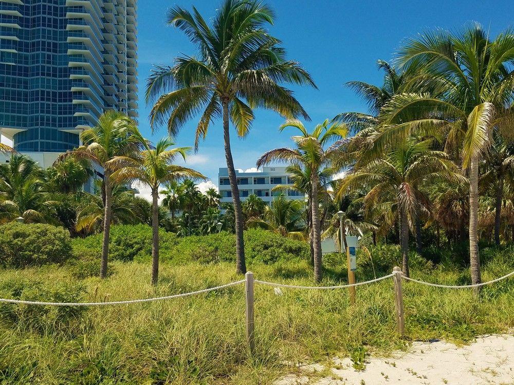 Seagull Hotel Майами-Бич Экстерьер фото